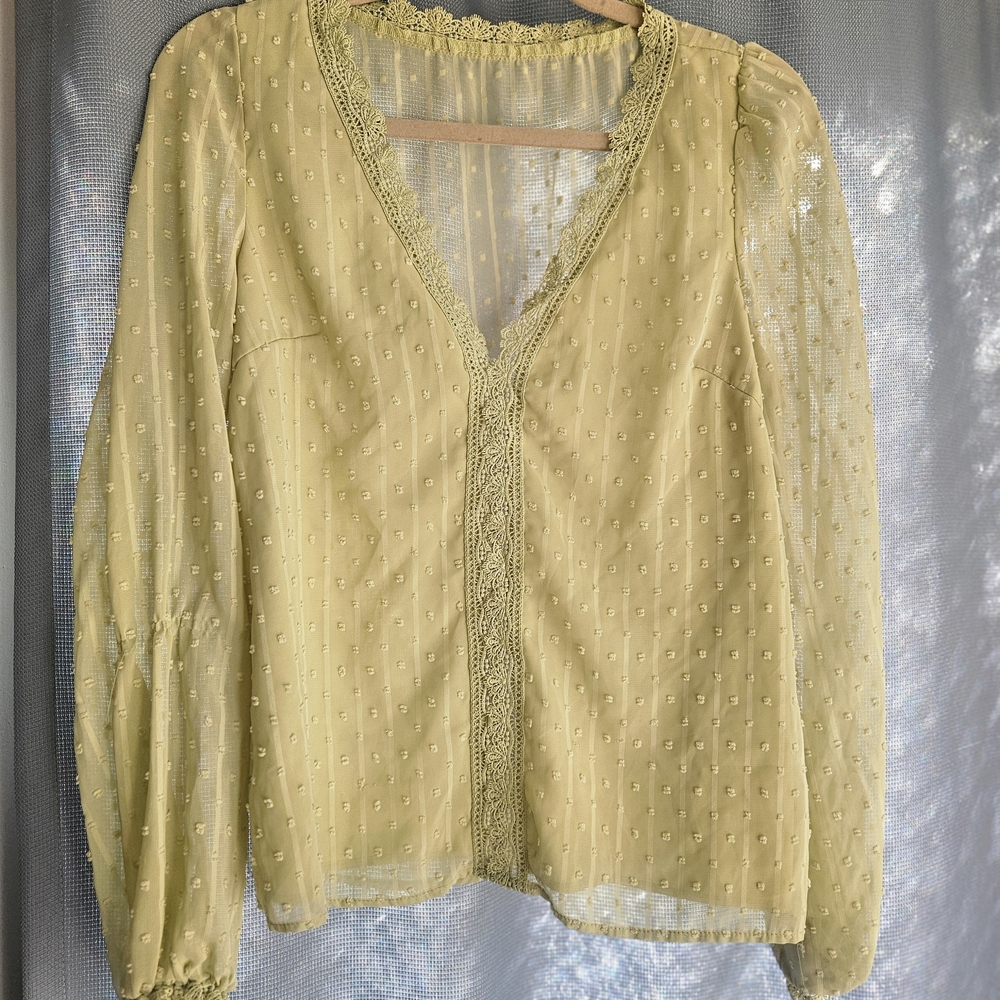 Lace Trimmed Sheer Blouse - Soft Green.